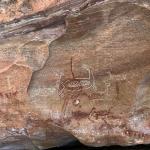 Откриха древни скални рисунки на камили и газели в Саудитска Арабия