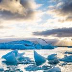 Светът е загубил 5% от ледниците си от 2000 г.