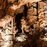 Подземната перла на България: Пещера Съева дупка и нейните потайни обитатели