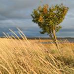 Какво създава вятъра?