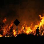 Рекордни месечни емисии на въглероден диоксид от горски пожари са отчетени в части от Южна Америка през февруари