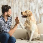 Три неща, които можем да научим от кучетата