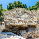 Аладжа манастир – най-известният средновековен скален манастир по родното Черноморие