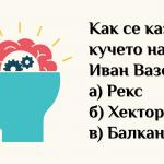 10 въпроса за обща култура - имате ли я?