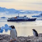 Снегът на Антарктика почернява заради сажди от туристическите кораби