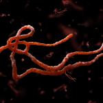 Паразитните червеи забавят човешкия прогрес. Ето как да ги спрем