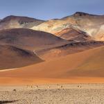 Научни открития поставиха рекорди през 2023 г.