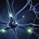 Учени разработиха успешен тест, който отчита първите сигнали на болестта на двигателния неврон 