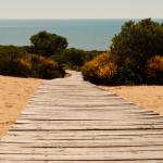 Испанският национален парк Доняна се превръща в пустиня