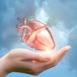 По кое време от денонощието е сърдечните операции са най-успешни?