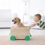 Най-добрите породи кучета за деца