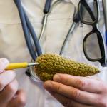 Учени разкриха как ракът на панкреаса прониква в кръвта и откриха нова терапевтична цел