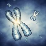 За първи път учени направиха пълна секвенция на човешки хромозом