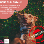 „Вече съм вкъщи“ – новата инициатива от кампанията „БезДОМен или ДОМашен? Ключът е в теб!“