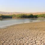 Крехките оазиси на планетата: бъдещето на влажните зони в затоплящия се свят