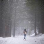 Януари под лупа: Климатът и решенията изпреварват политиките 