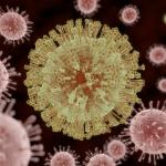 Вирусът Зика може да се превърне в оръжие срещу рак