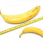 Науката обяснява: От значение ли е размерът на пениса?