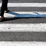 31 октомври 1951 г. - За първи път зебра брани пешеходци 