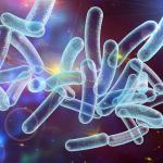 Учени откриха нова форма на живот в човешката слюнка