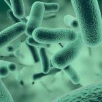 Антарктическа бактерия е ключът към намиране на извънземен живот