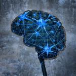 Странна връзка между мозъка и дебелото черво може да се окаже смъртоносна