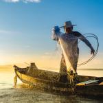 WWF обявява нов изчезващ вид – рибарите