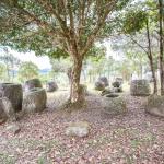 Откриха още мистериозни 1000-годишни „делви на мъртвите“ в Лаос