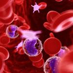 Учени откриха начин да конвертират кръвните групи в една универсална