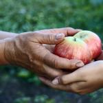 Личностната черта, която прави хората по-щастливи