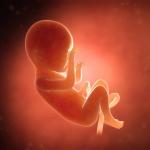 Науката може да предскаже дали бебетата ще са левичари или десняци