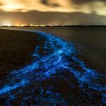 Сякаш океани от звезди обливат тези прекрасни плажове