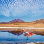 14 забележителни гледки от целия свят