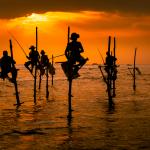Необикновените рибари на кокили на Шри Ланка