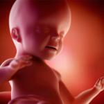 Още в утробата на мама бебето прави гримаси