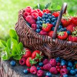 3 вкусни плода, които предпазват мозъка от стареене