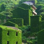 20 невероятни снимки, които показват как природата побеждава цивилизацията