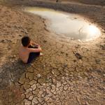 WWF: Лошото управление на водите причинява тежки засушавания в Европа