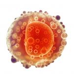 Жените разполагат с потенциално неизчерпаем резерв от яйцеклетки 