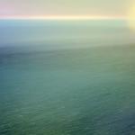 Шестото глобално масово измиране ще дойде по-скоро според математик