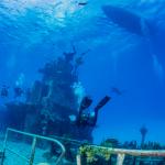 Злато на нацистите е намерено в останките на потънал кораб 