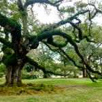 Виц: Биология за програмисти