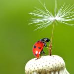 20 прекрасни фотографии, които показват живота в цялата му красота