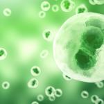 Шизофренията е 80% генетична