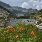 Министърът на околната среда заплашва бъдещето на националните паркове