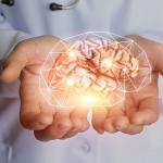 Учени разработиха система от упражнения, която подмладява мозъка