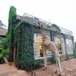 Хотел в Найроби ви позволява да споделите закуската си с жирафи