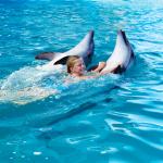 Във варненския делфинариум почина делфинче на 9 дни