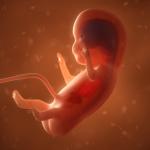 Чудото на живота: Видео разкрива етапите на развитие на бебето в утробата