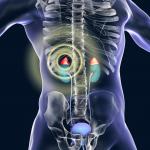 Малките ежедневни дейности с големи ползи за здравето ви